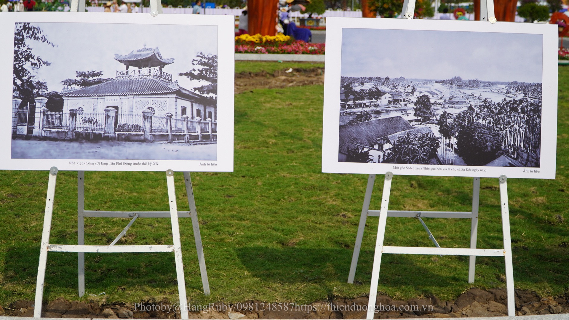 LE-HOI-HOA-SADEC