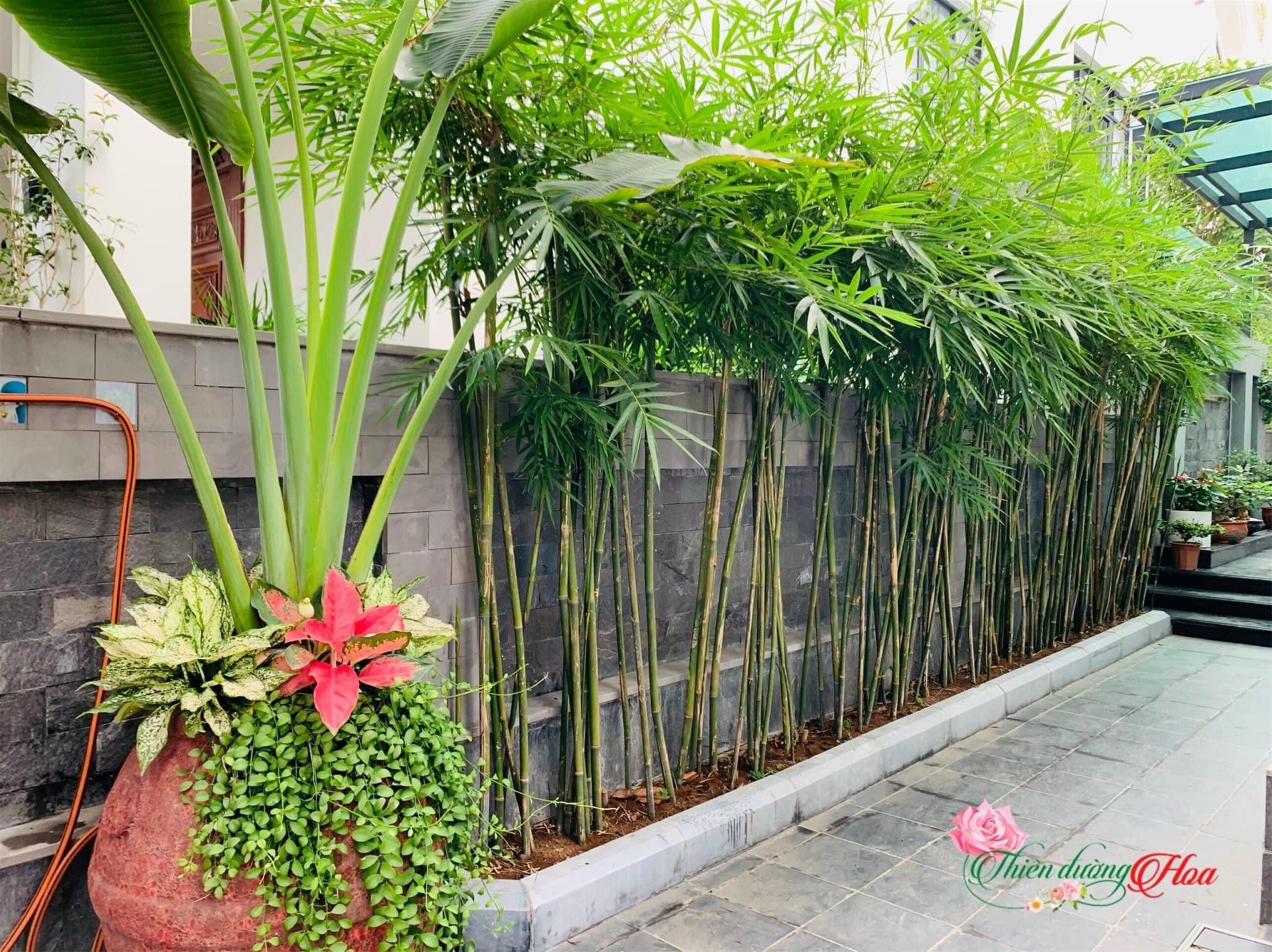 Dịch Vụ Tư Vấn, Thiết Kế Và Thi Công Cảnh Quan Sân Vườn Tại Khu Vực Ba Vì, Hà Nội