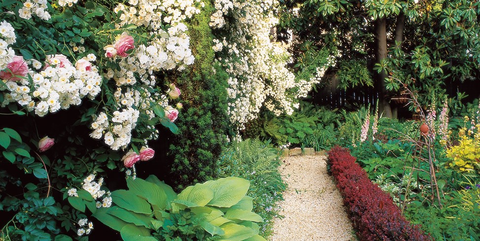 small garden