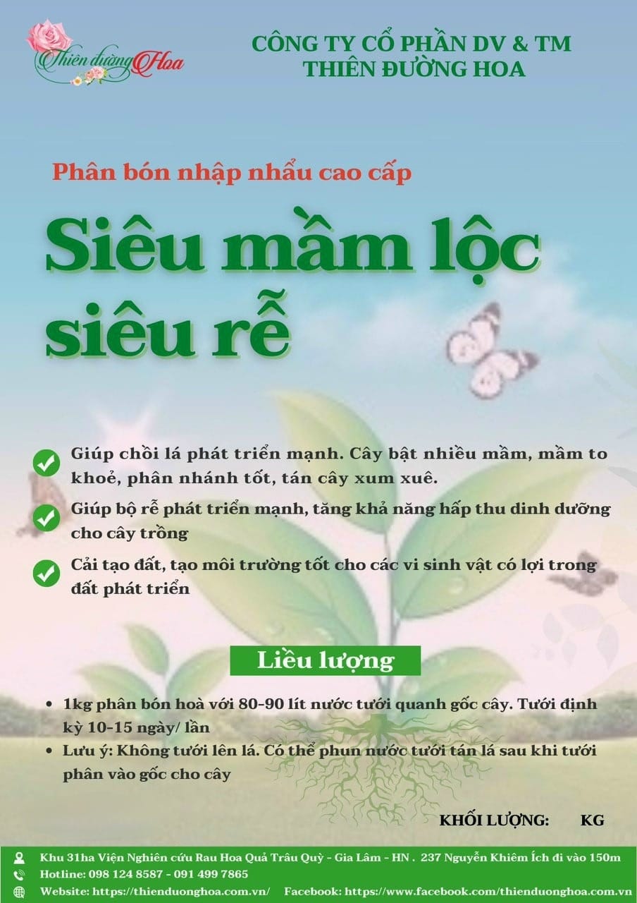 PHAN-DIEU-MAM