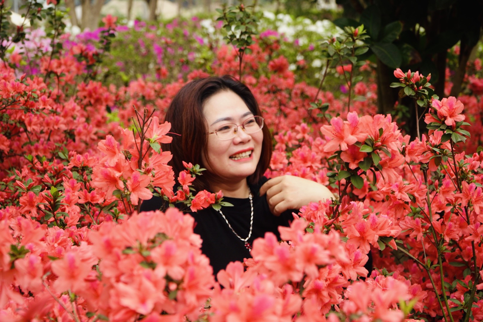 do-quyen-cam