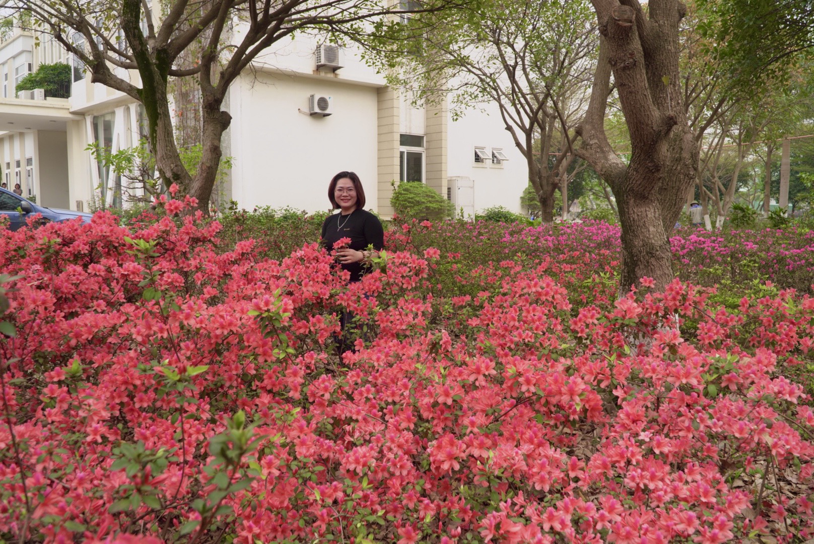 do-quyen-cam