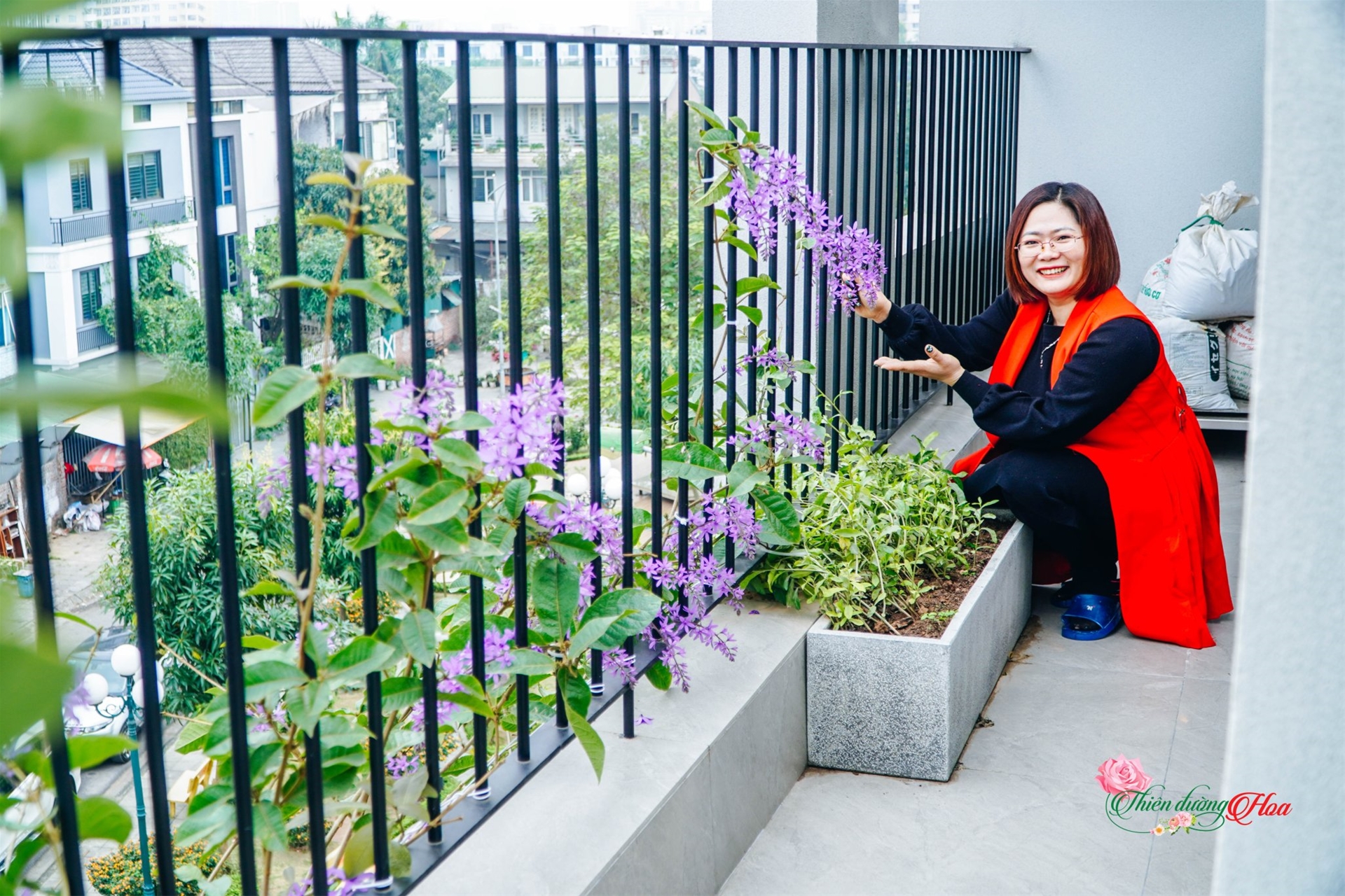 Cẩm Nang Chăm Sóc Và Nuôi Dưỡng Cây Mai Xanh Thái Trong Cảnh Quan