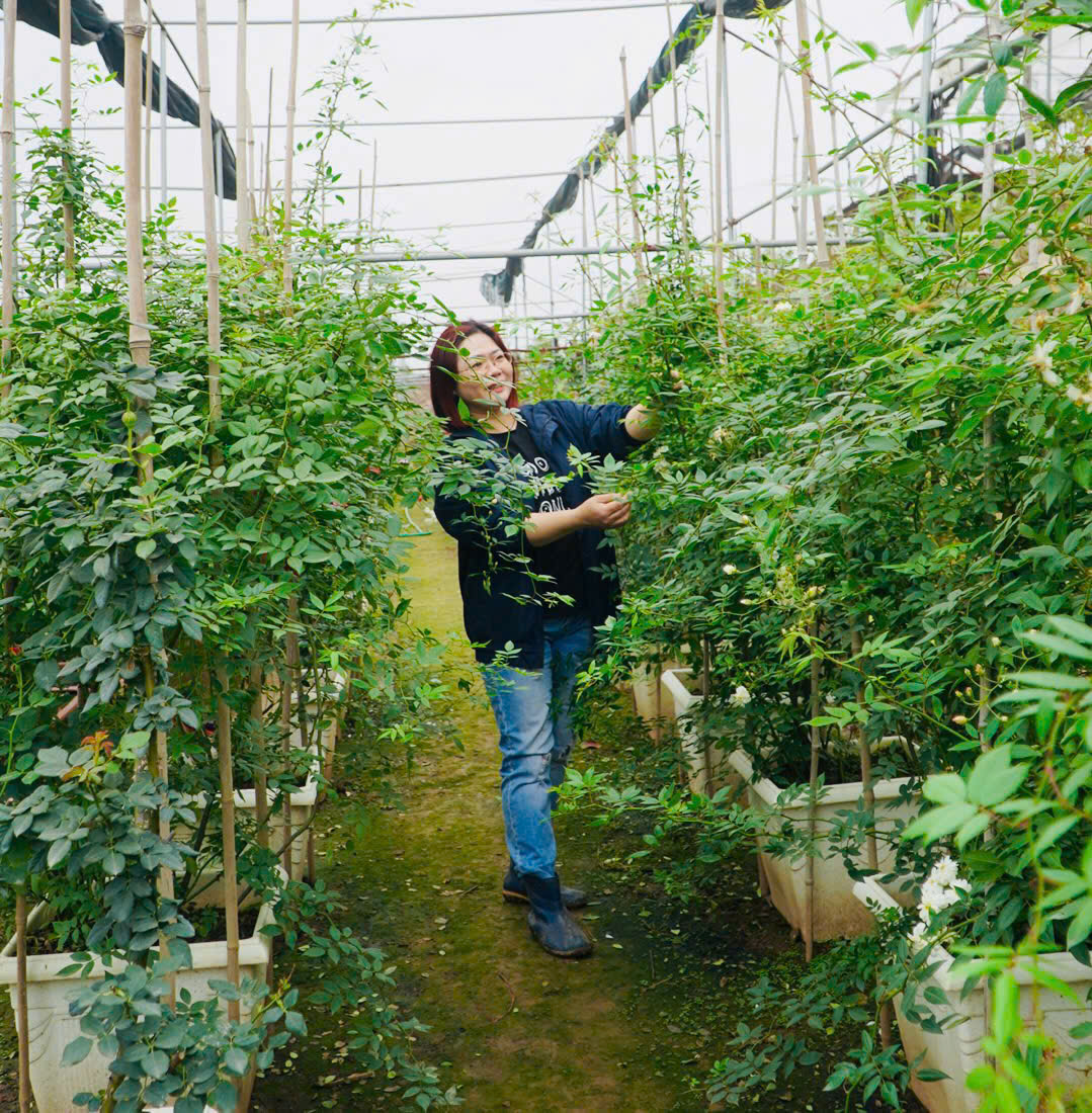 ngong-tuyet