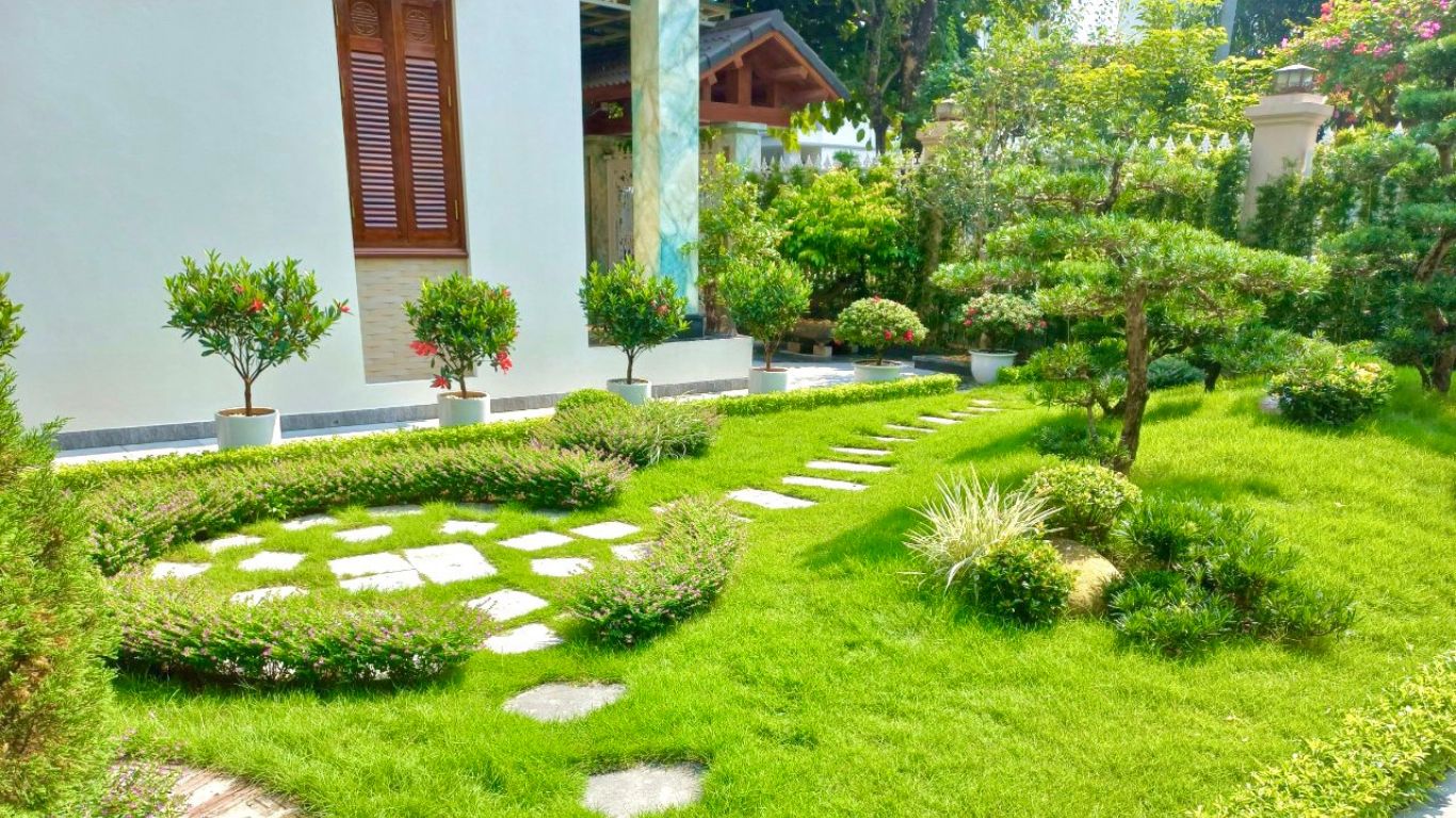 Xem Ảnh Lớn
