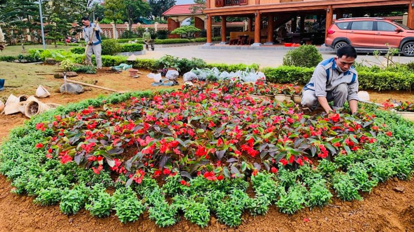 Xem Ảnh Lớn