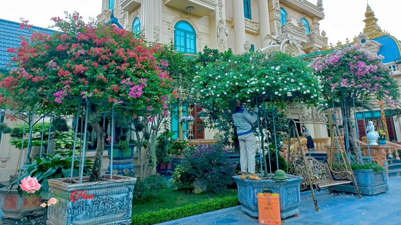 Xem Ảnh Lớn