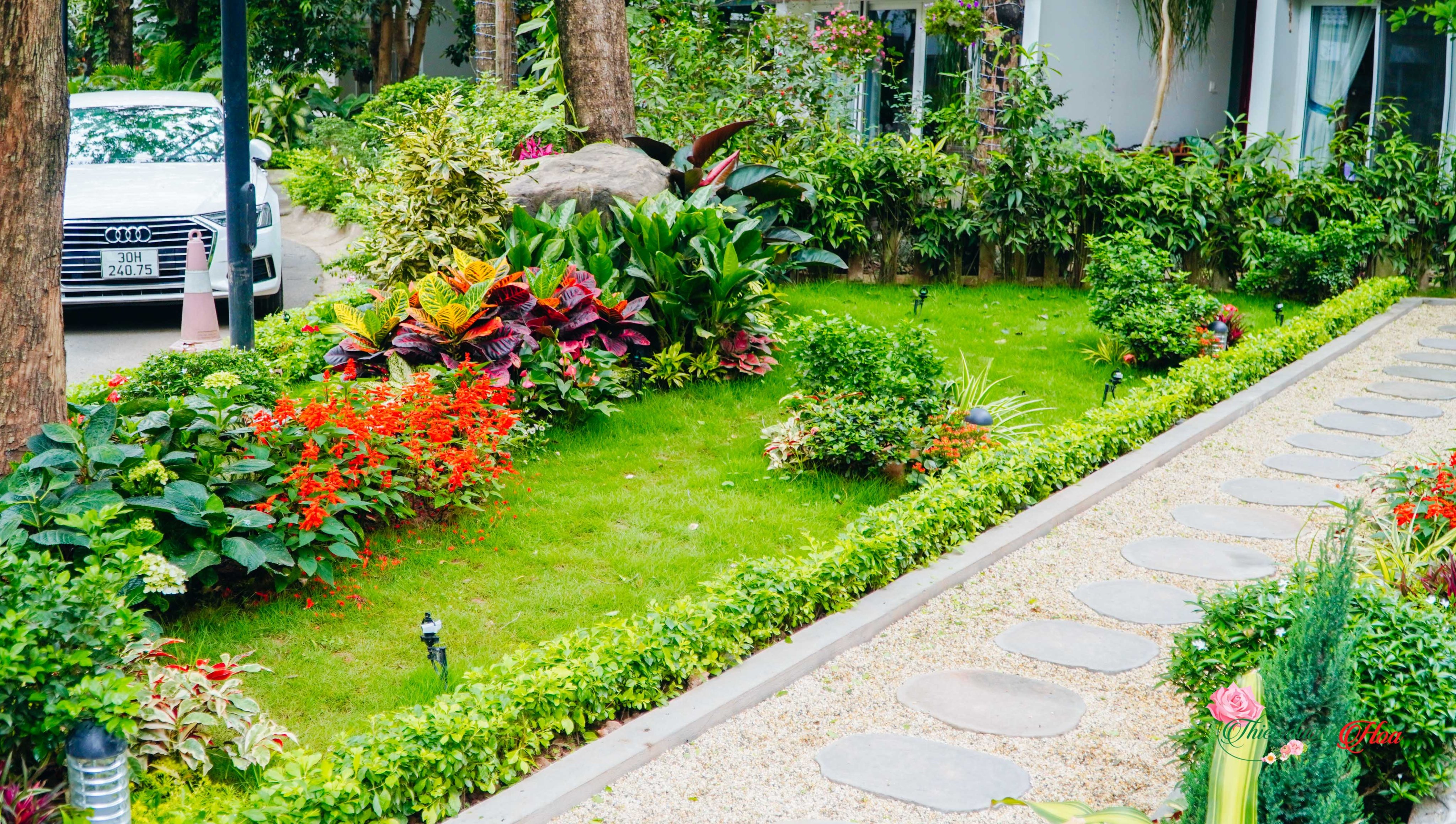 Xem Ảnh Lớn
