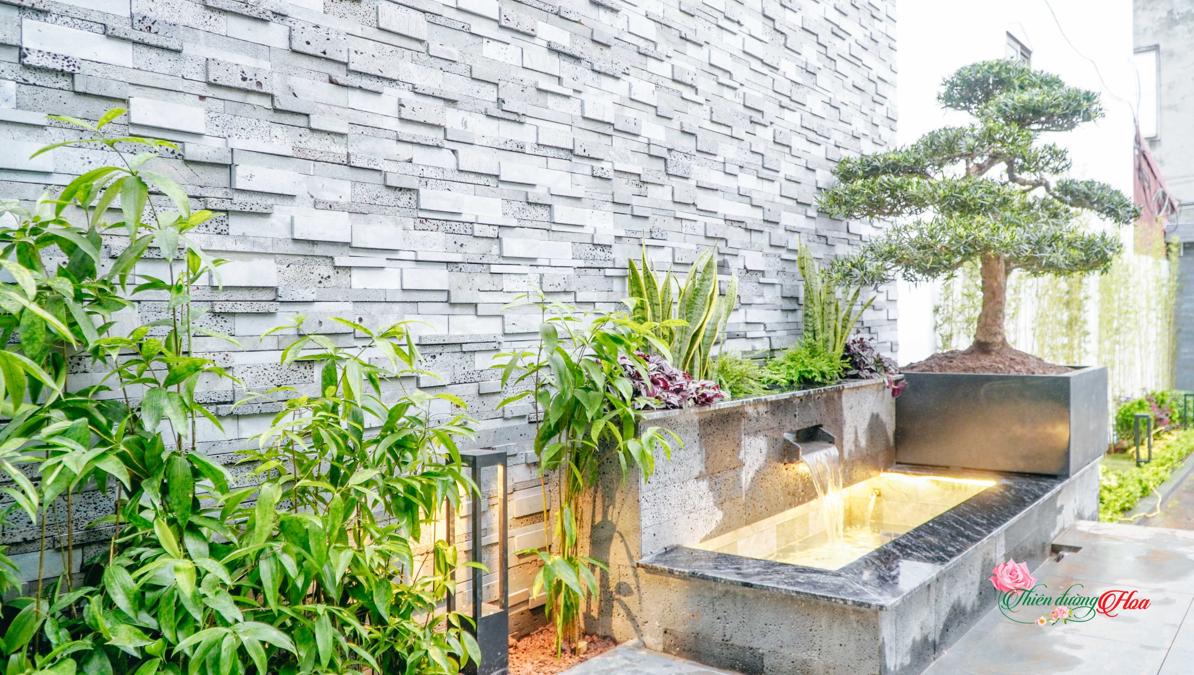 Thi Công Cảnh Quan Sân Vườn Tại Hoàng Mai -Hà Nội