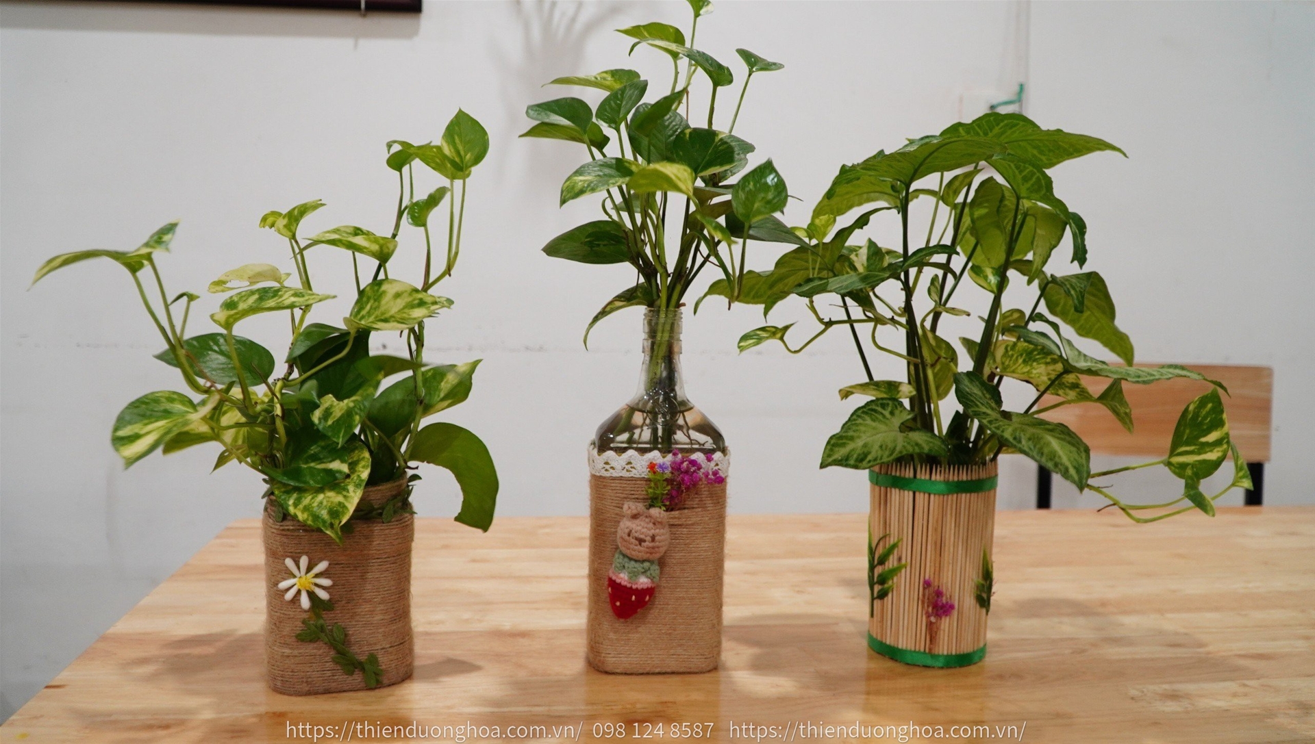 Lọ hoa chai thủy tinh tái chế thành chậu trồng cây