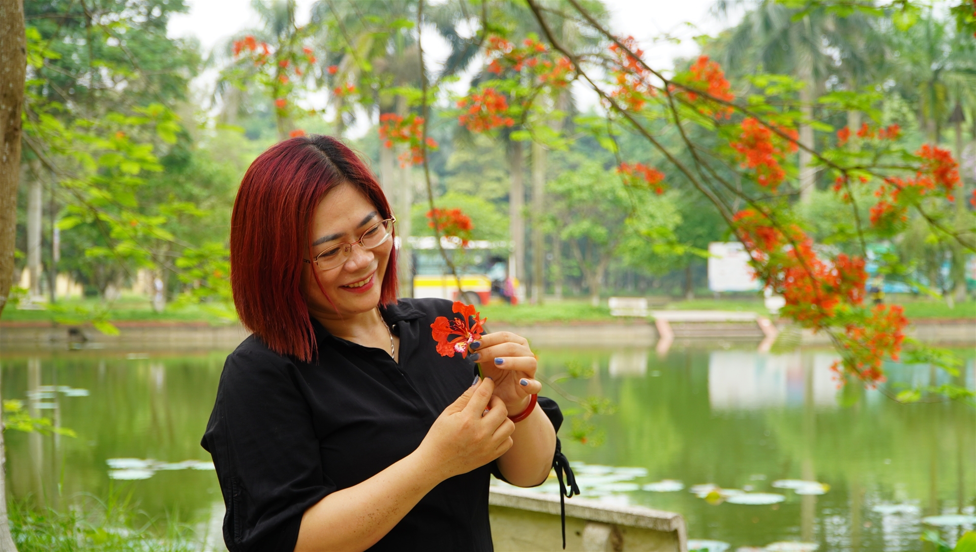 Top 3 Loài Cây Có Hoa Rực Rỡ vào Mùa Hè