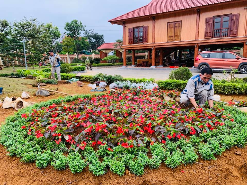 Thư viện ảnh