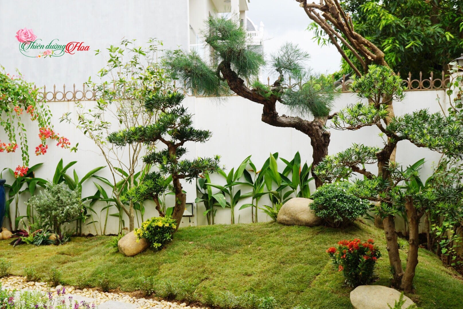Thư viện ảnh