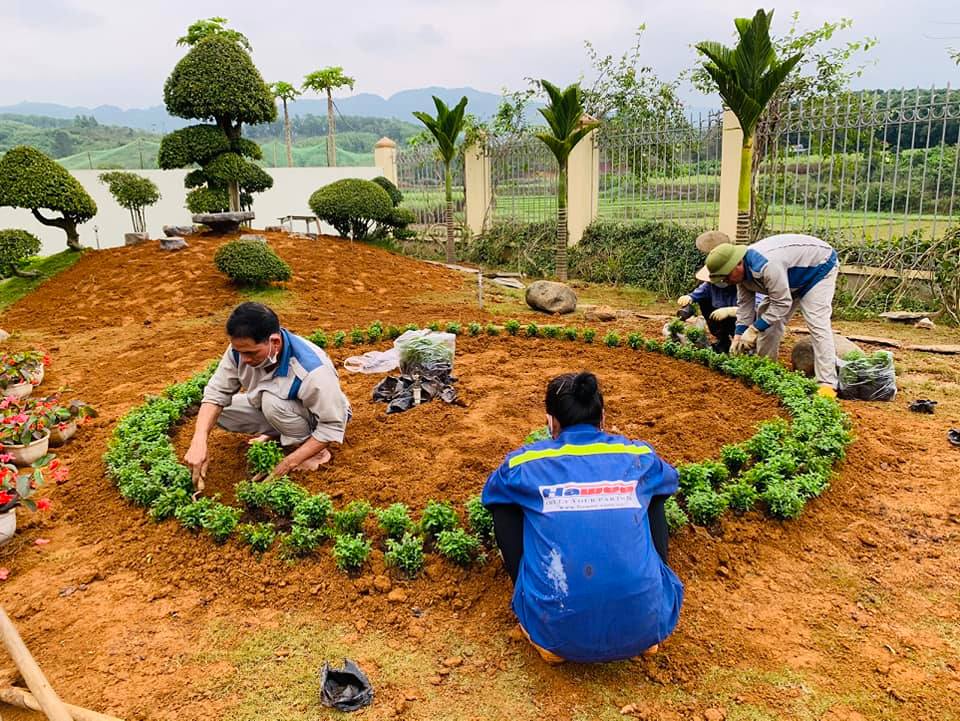 Thư viện ảnh
